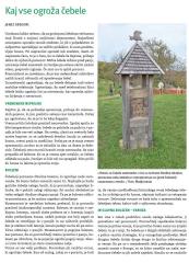 Kaj vse ogroza cebele november 2019